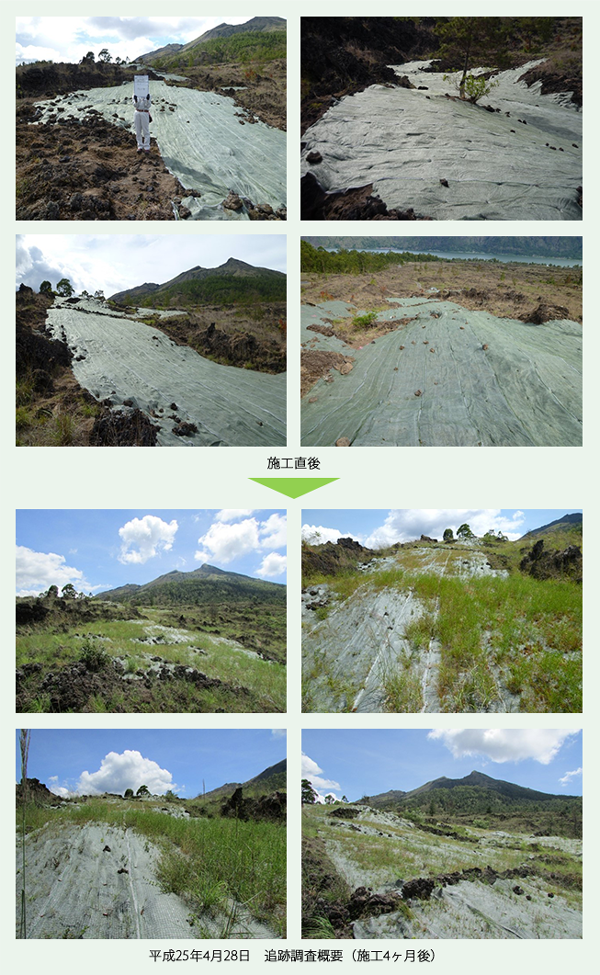 環境修復効果写真1