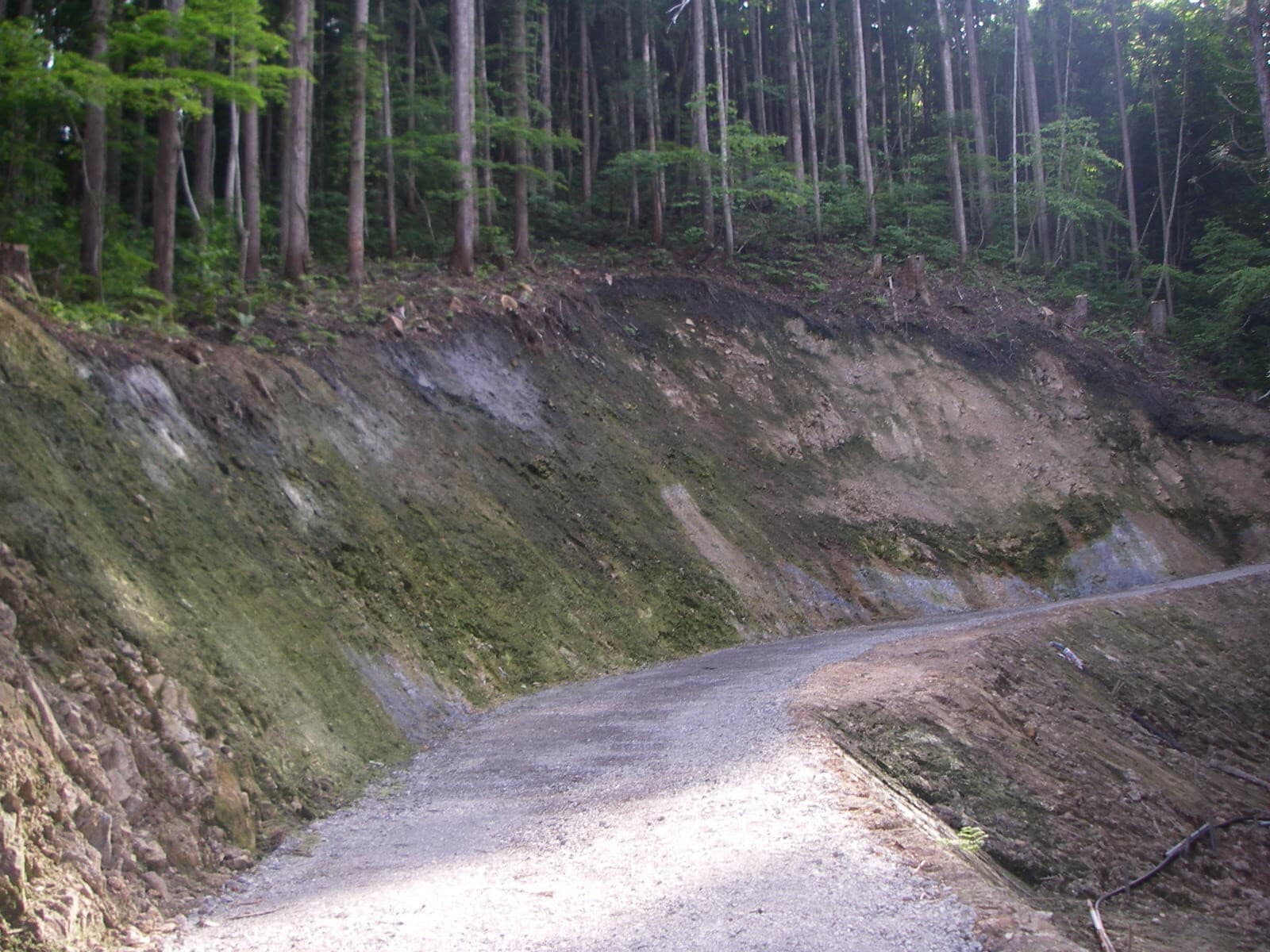 06.jpg