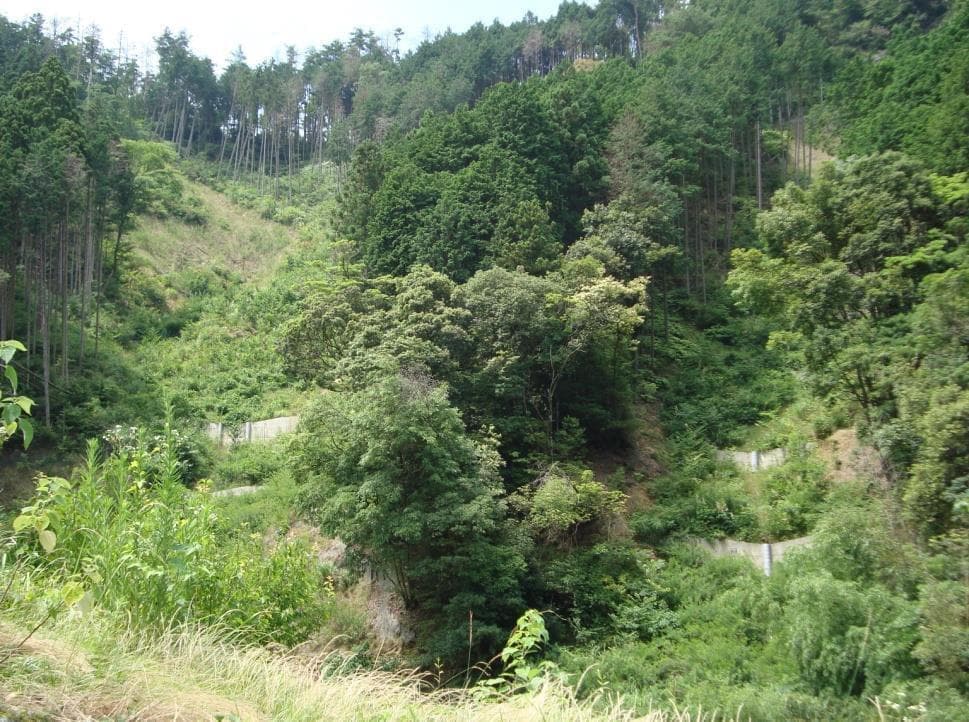 img20230209162004217793.jpg